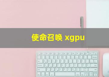 使命召唤 xgpu